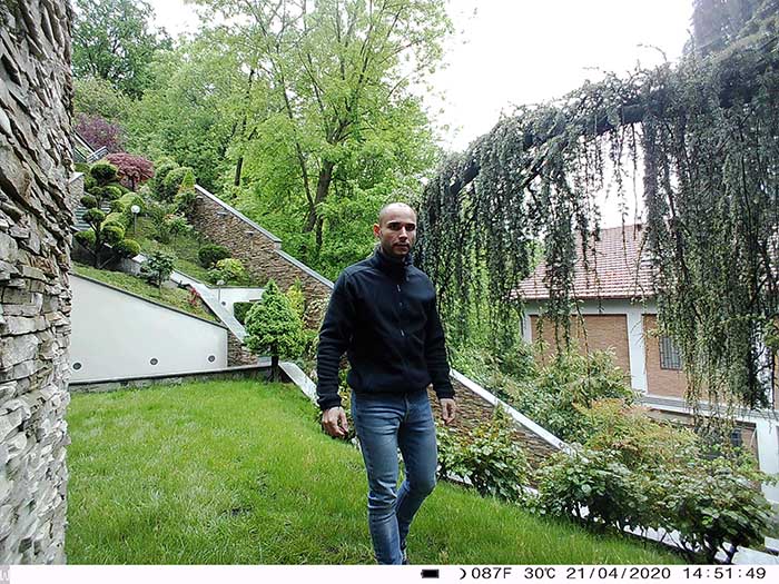 Trial camera picture